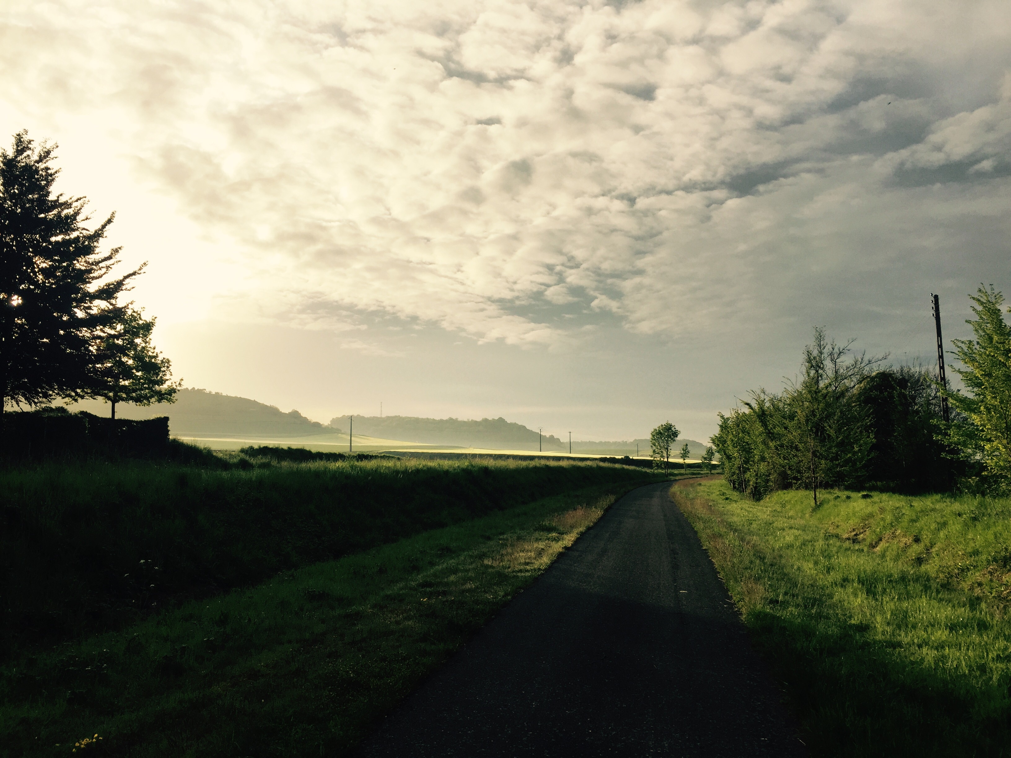 Avenue Verte at dawn