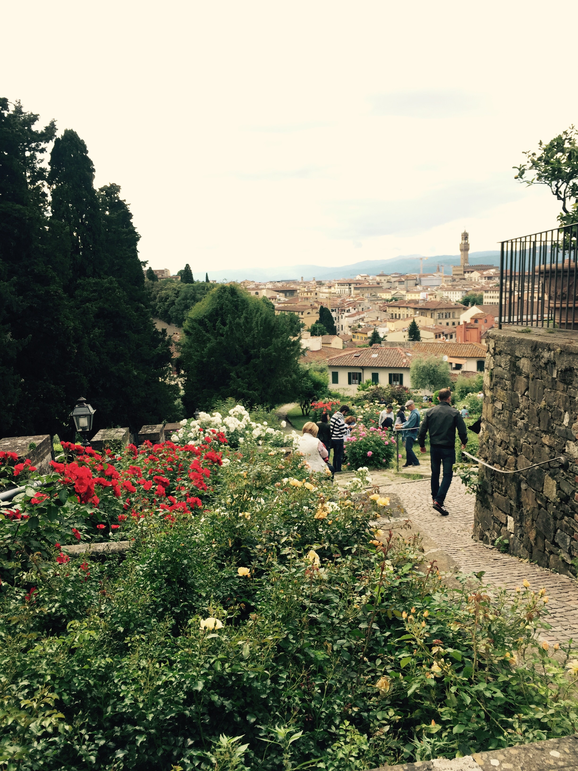 Rose Garden Florence