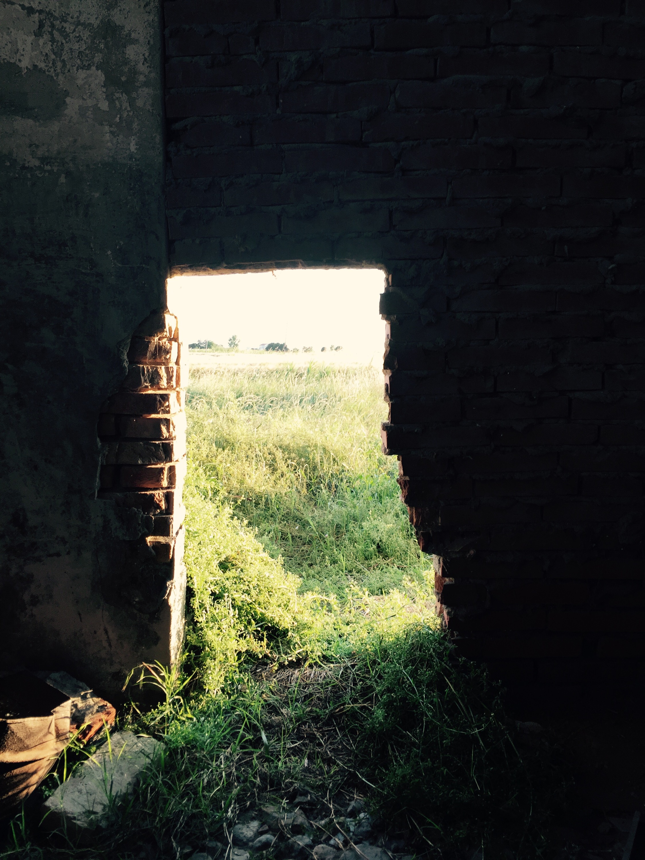 Bricked up doorway looking at field, Italy