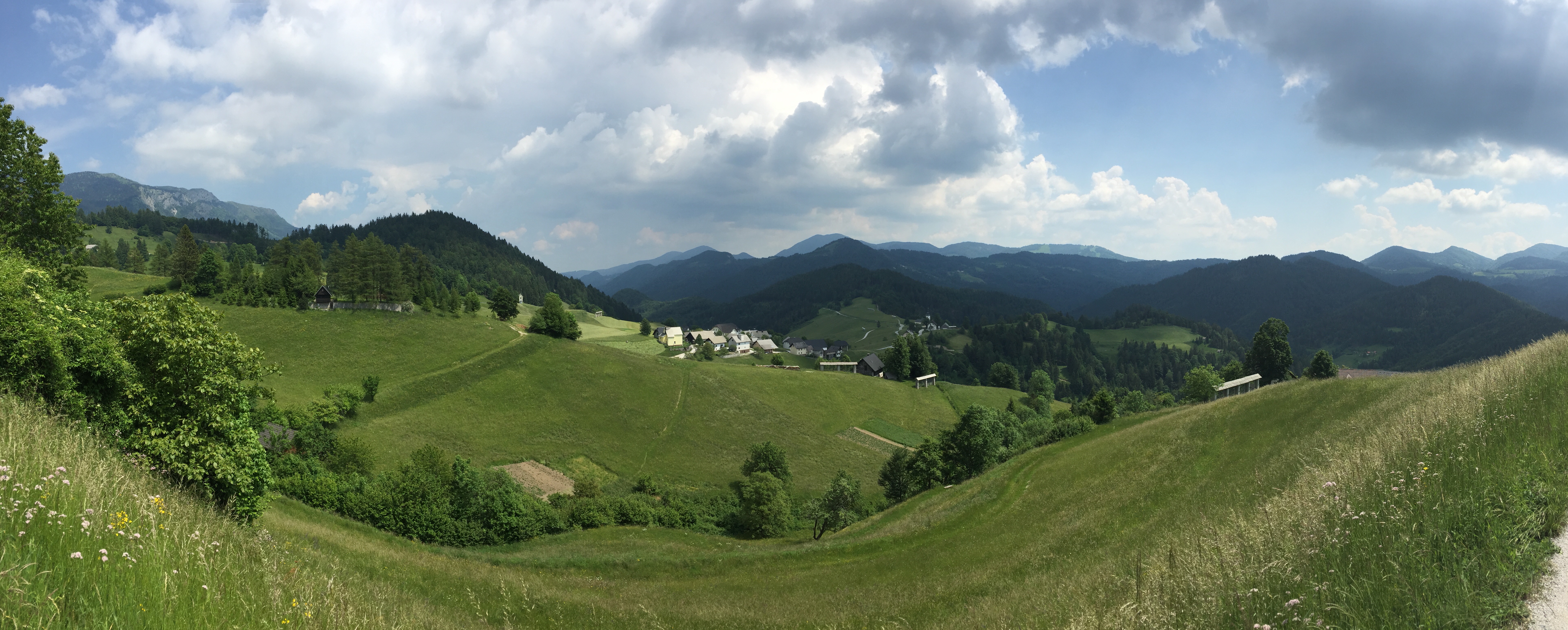 Green hills of Spodnja Sorica, Slovenia