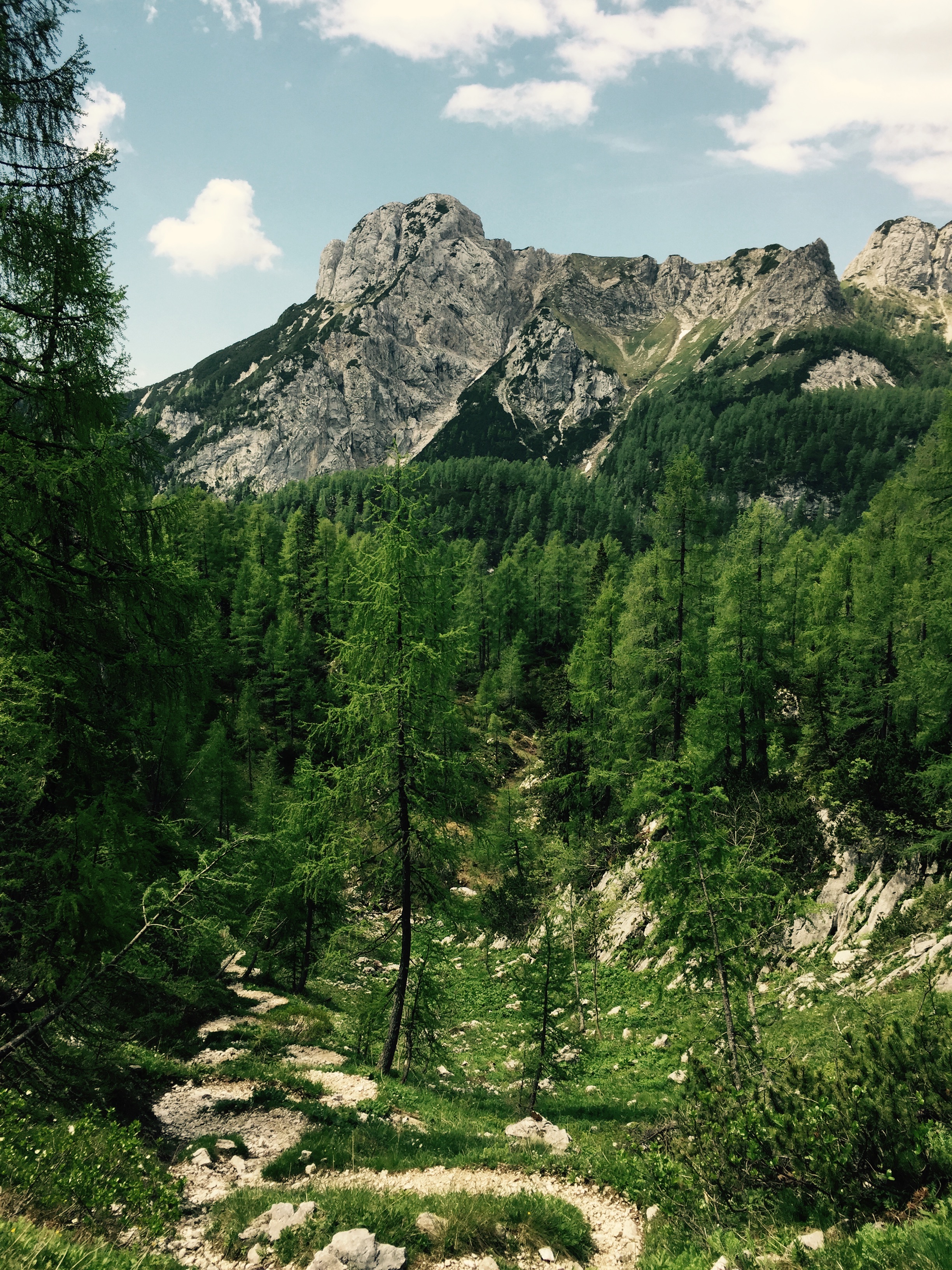 Winding path up to Triglav