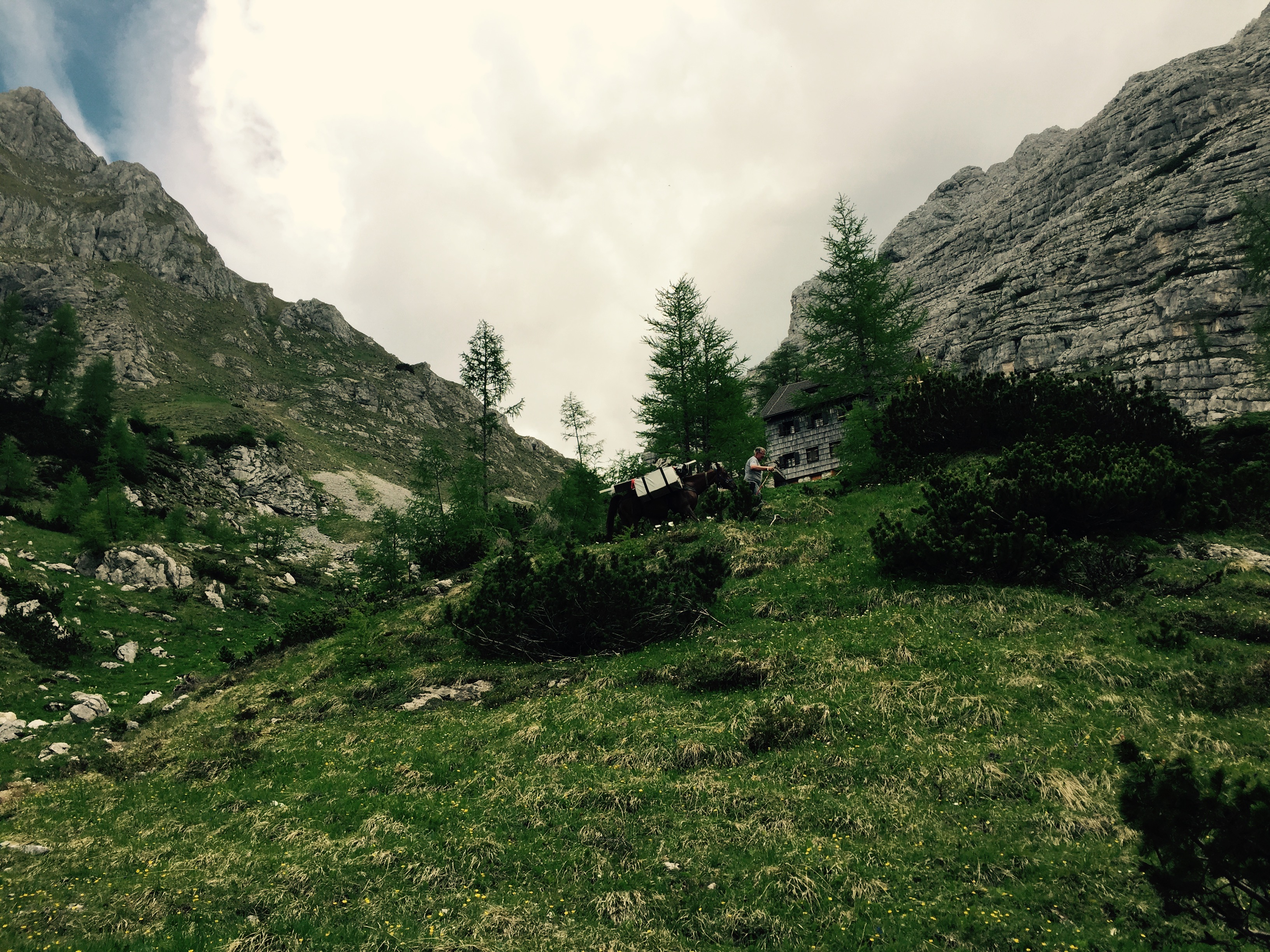 Pack horses approach Vodnikov Dom, Slovenia