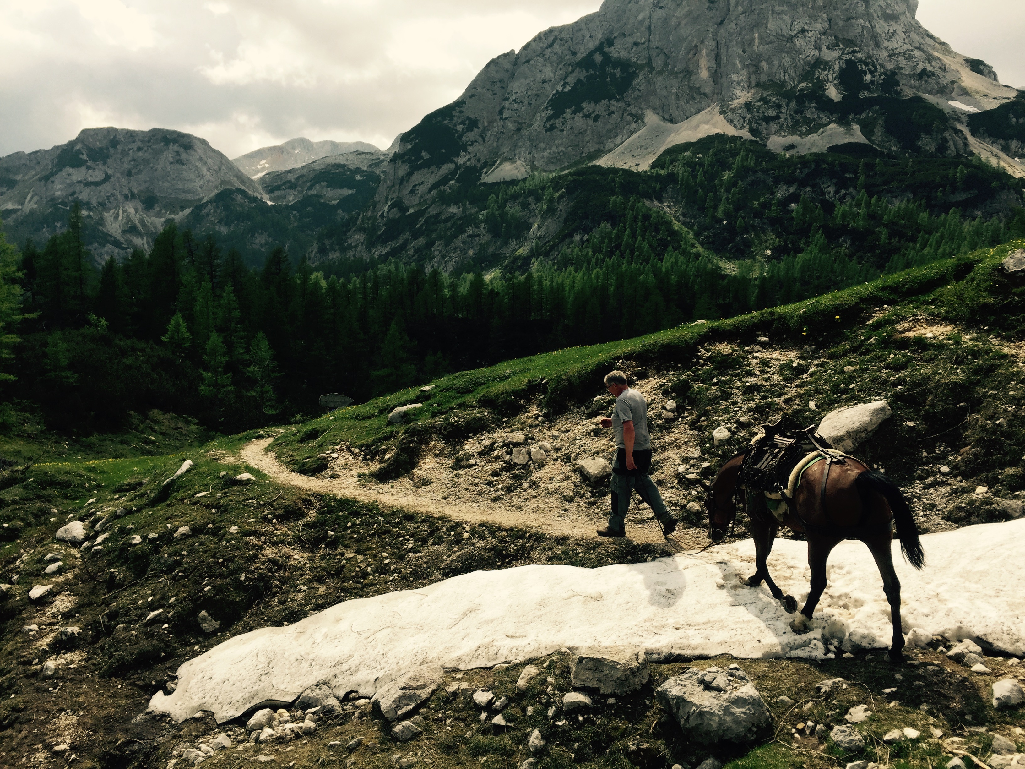 Pack horse crossing old snow in Triglav National Park, Slovenia