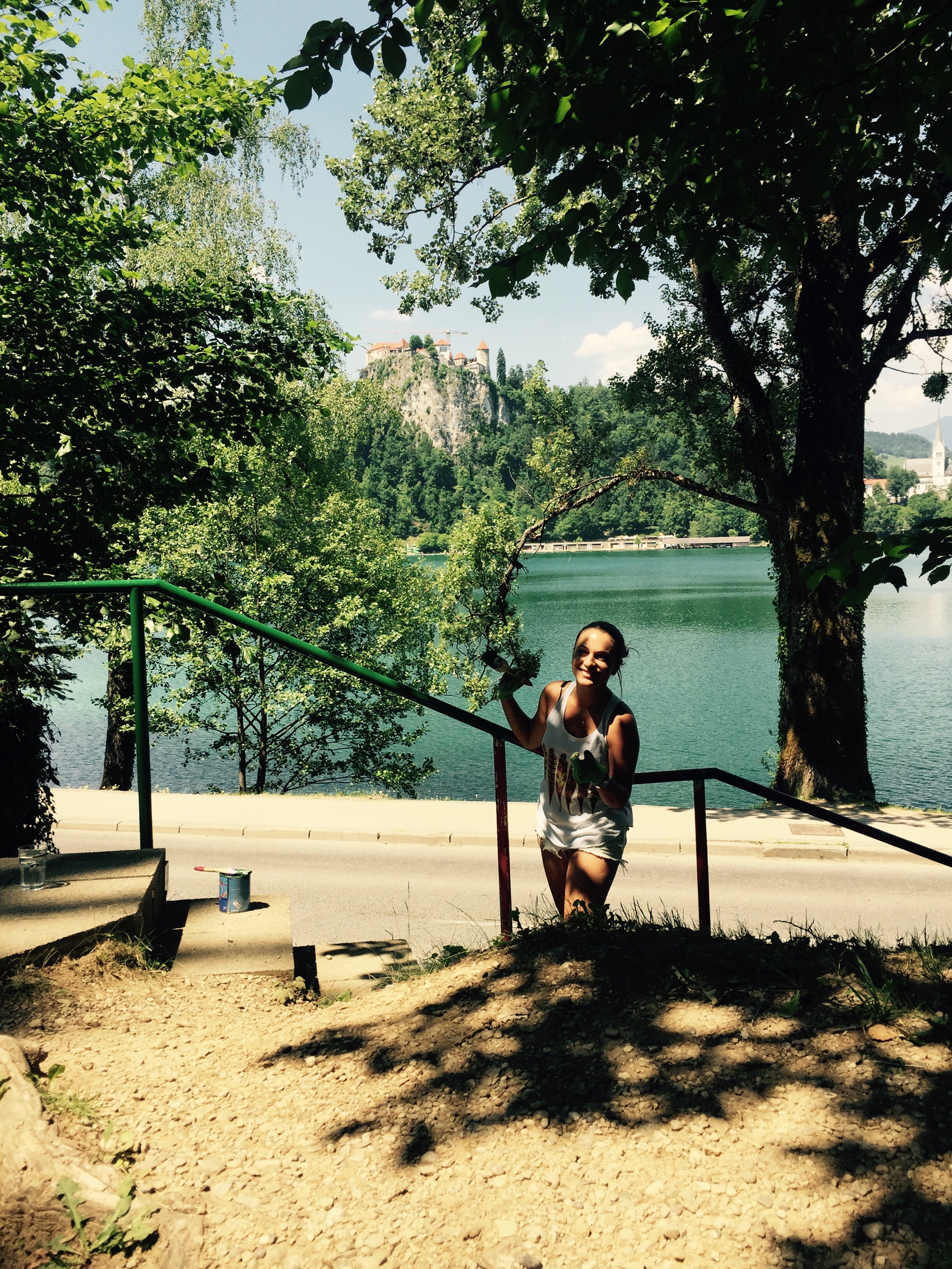 Painting rail on edge of lake Bled, Slovenia