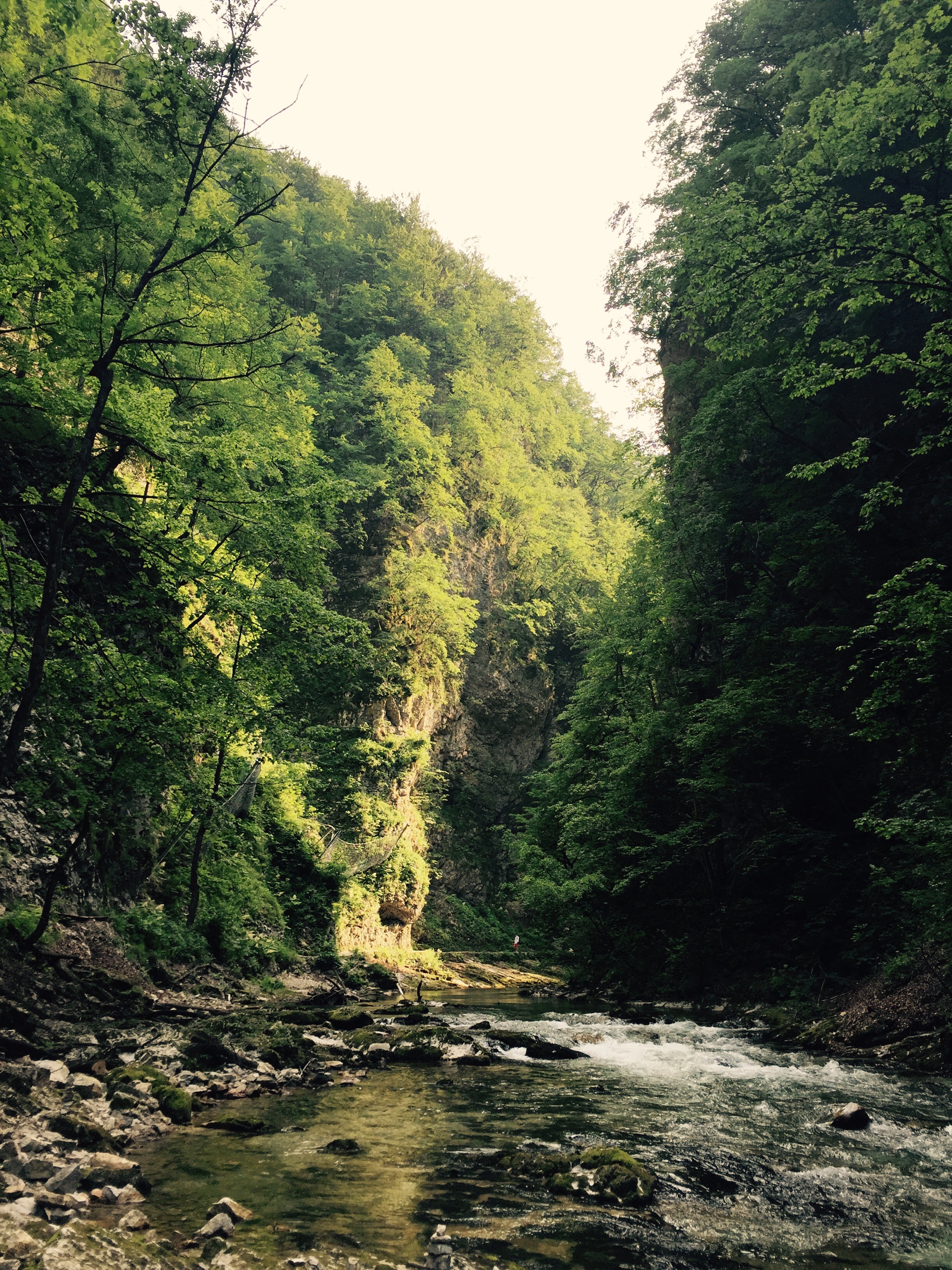 Vintgar, gorge, Bled