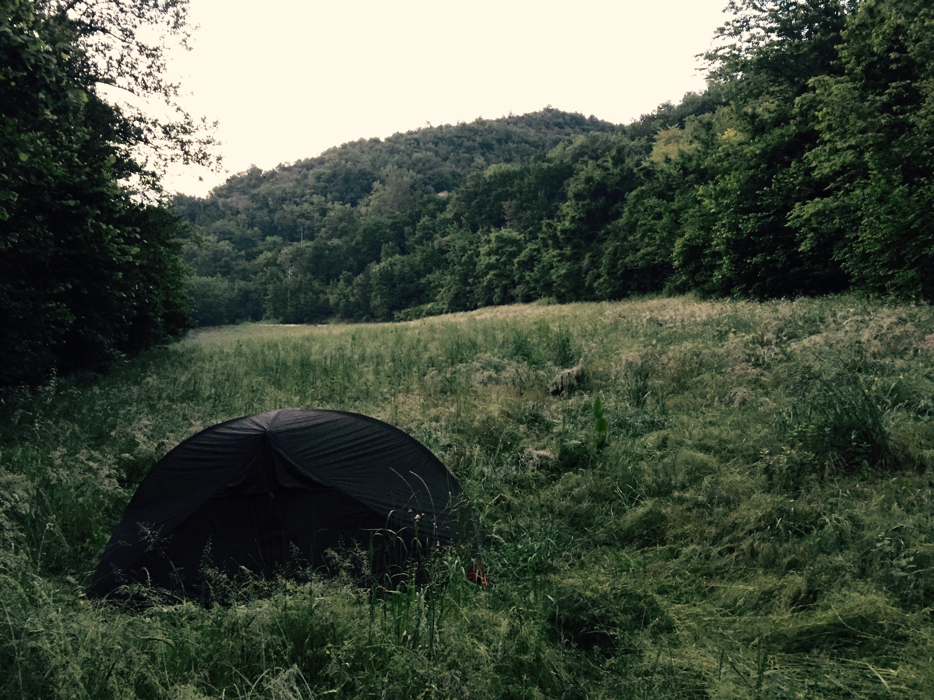 Camping in meadow