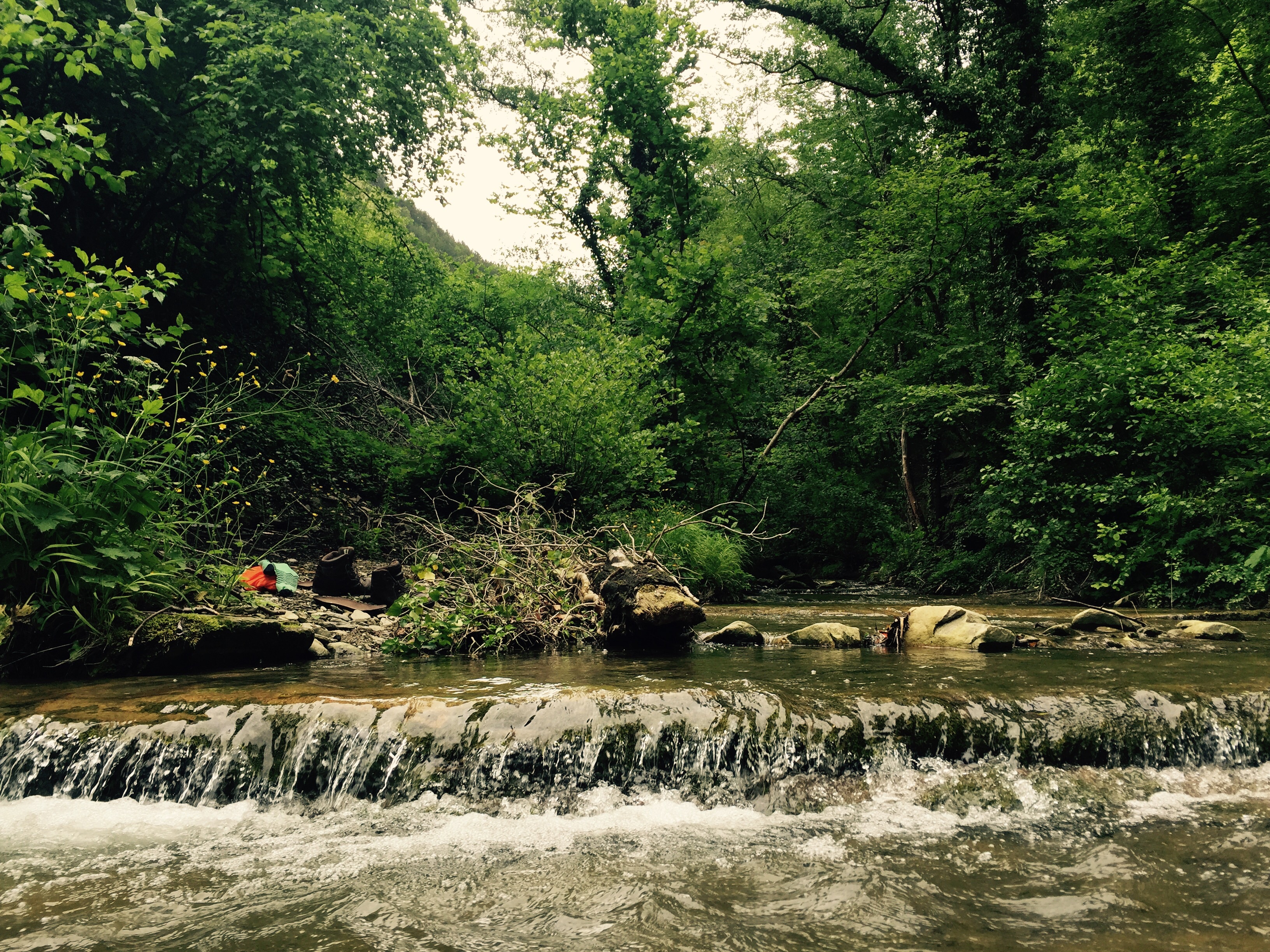 Cooling off in mountain river