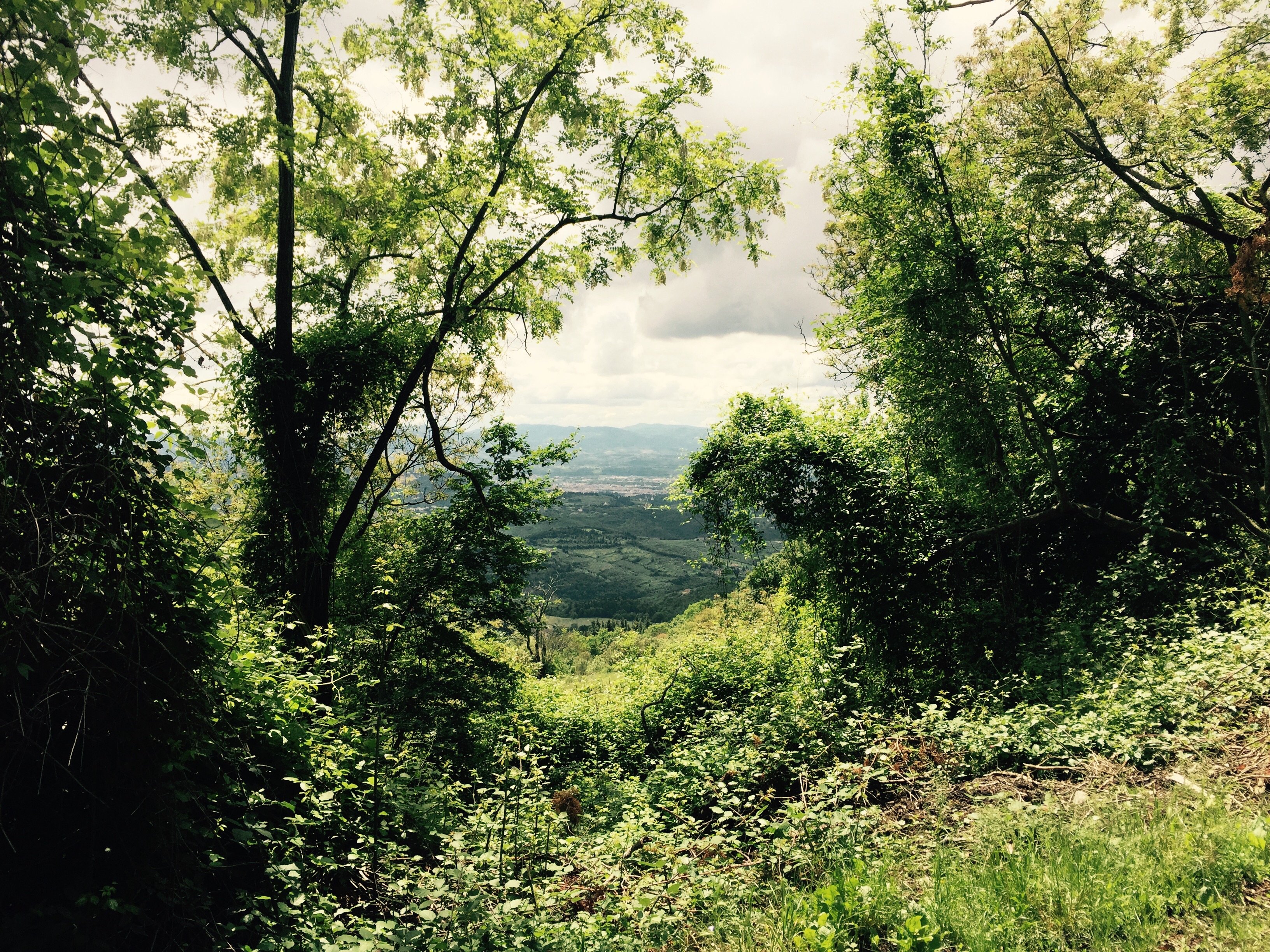 Monte Morello looking over Florence