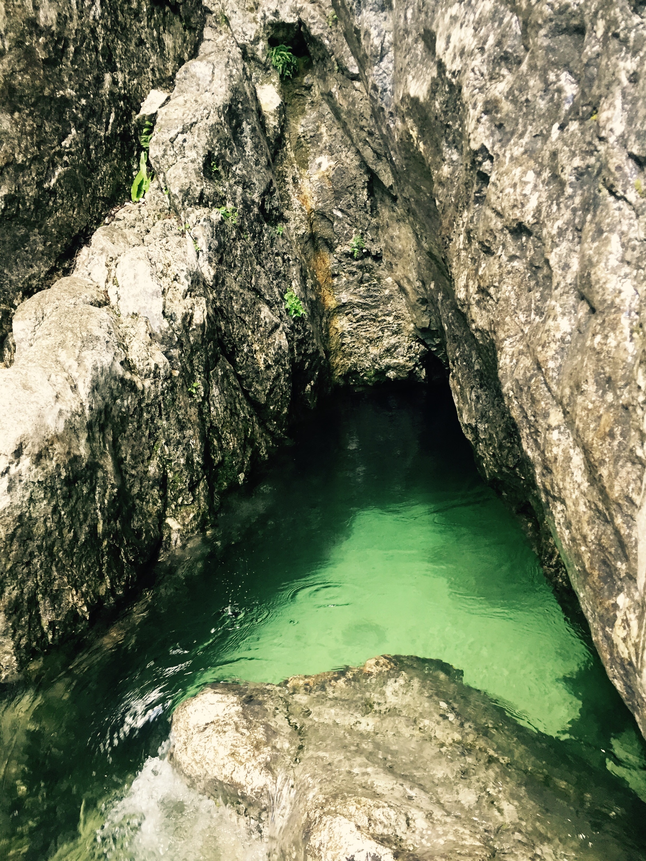 The source of the river Soča