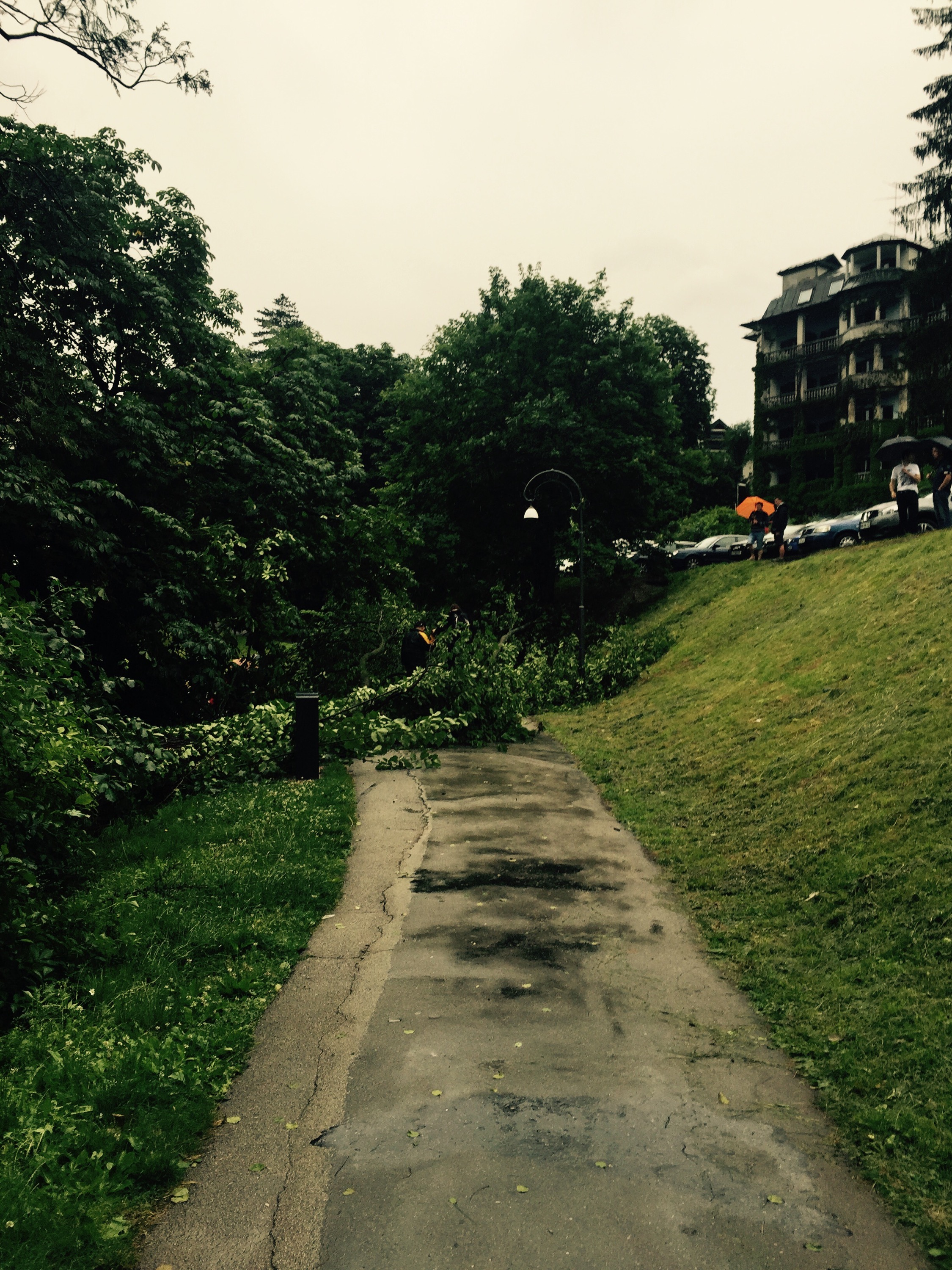 Storm damage, Bled