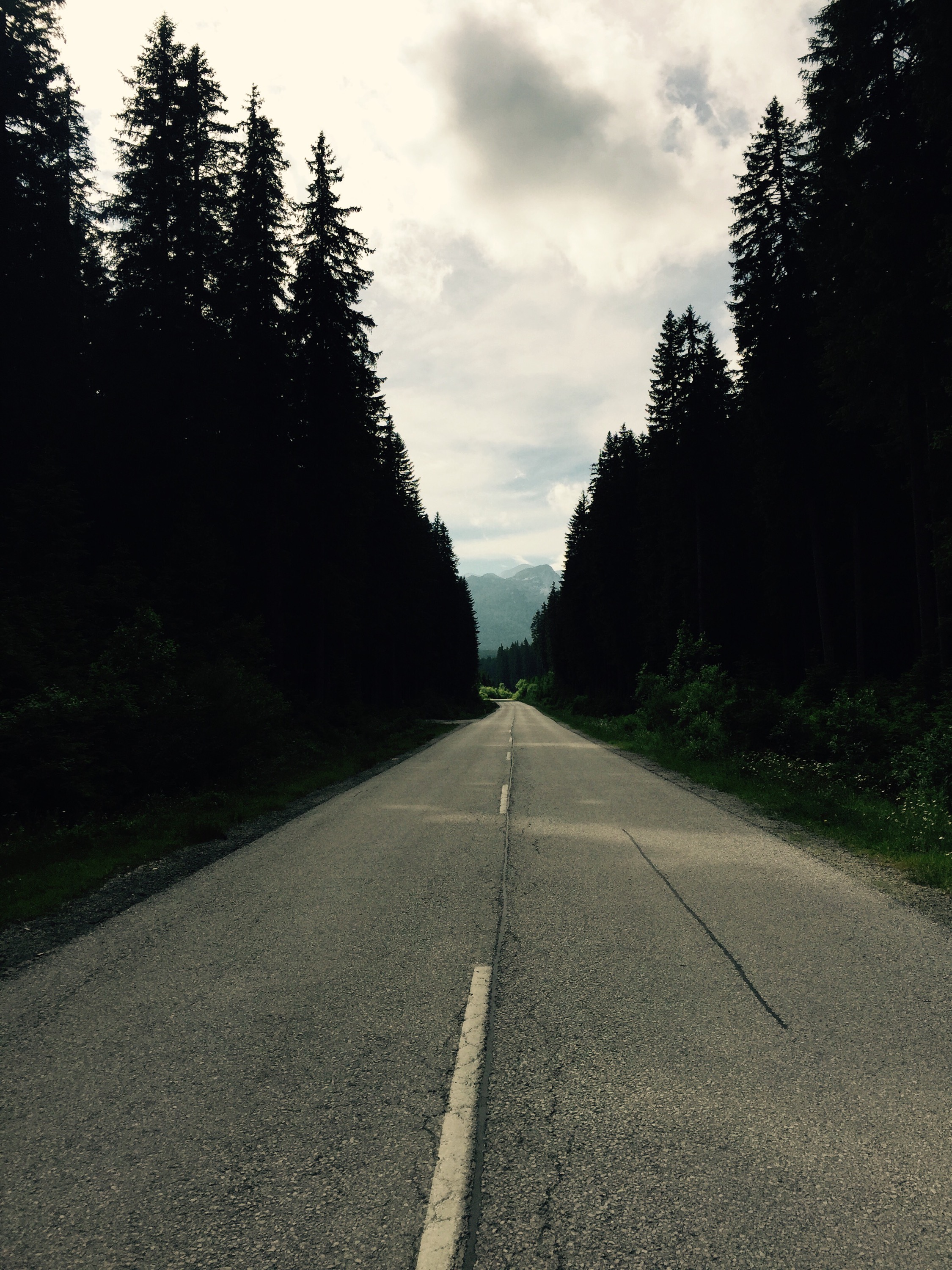 Pokljuka road