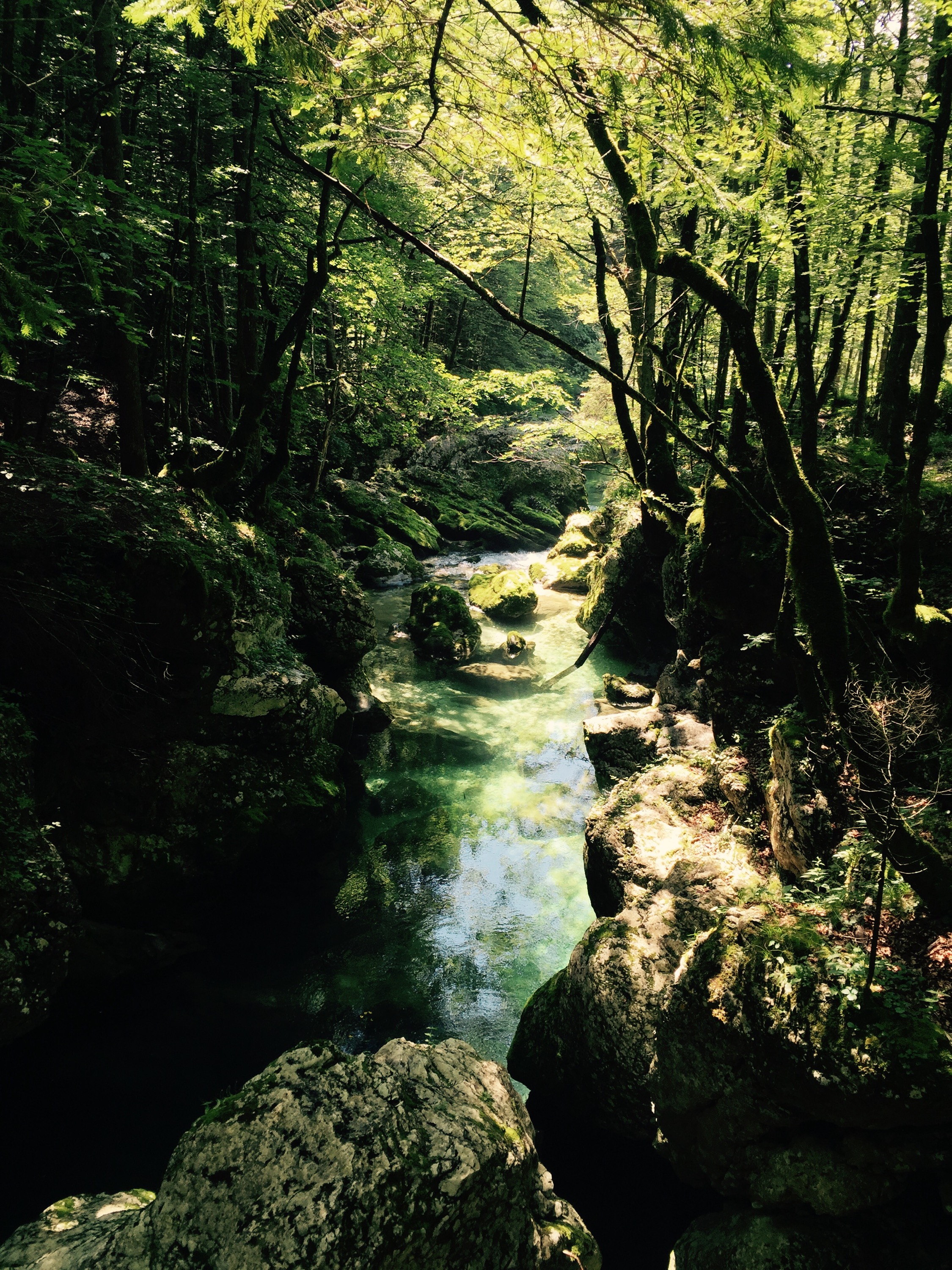 Ribnica river, Triglavski National Park