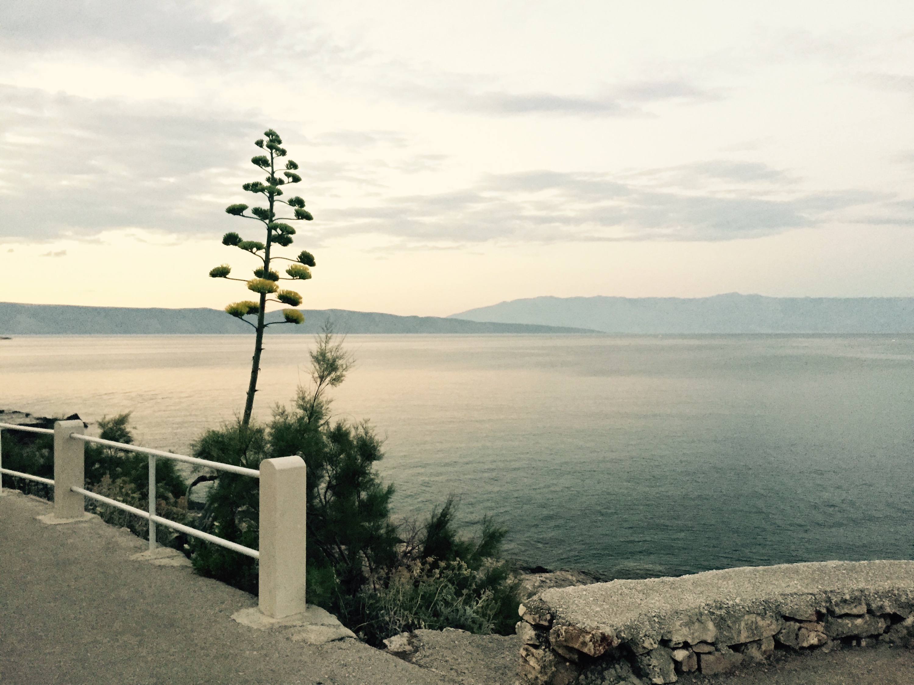 Jelsa beach, Hvar island