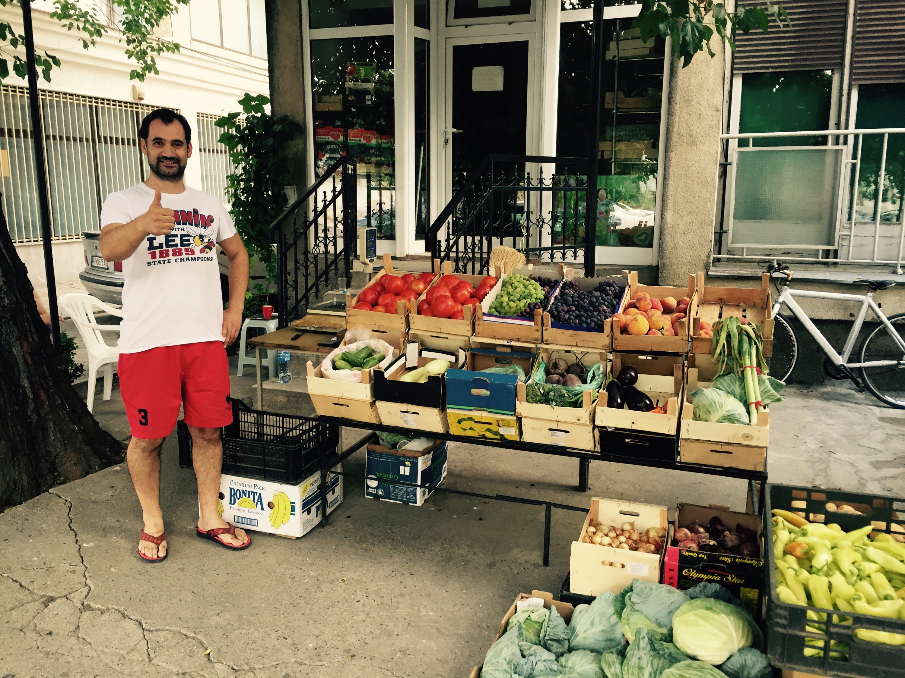 Lazar and his fruit stall, Negotino, Macedonia