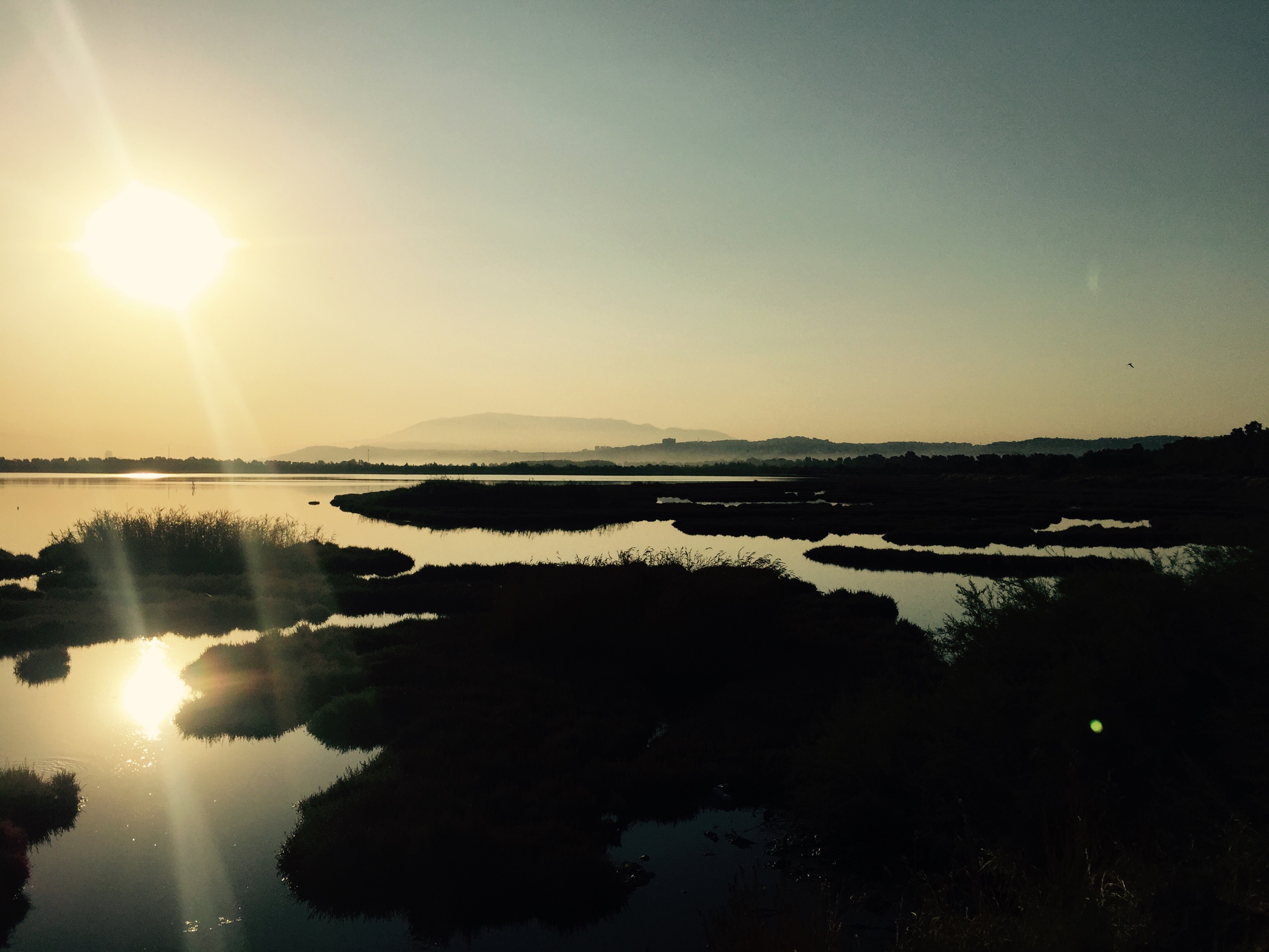 Saltwater marshes, Izmir Turkey