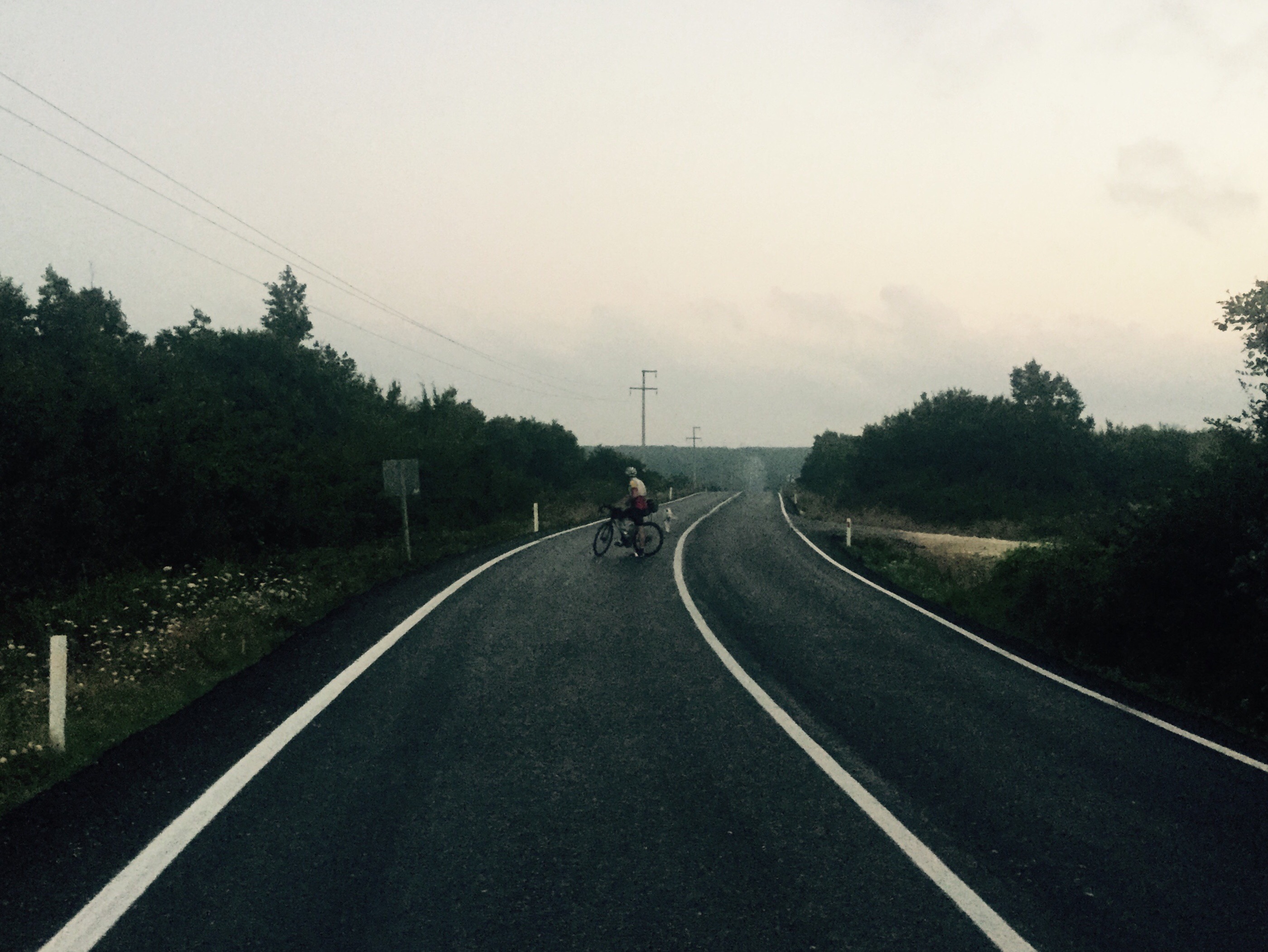 Early morning road, Gareth Bains and stray dog, Turkey