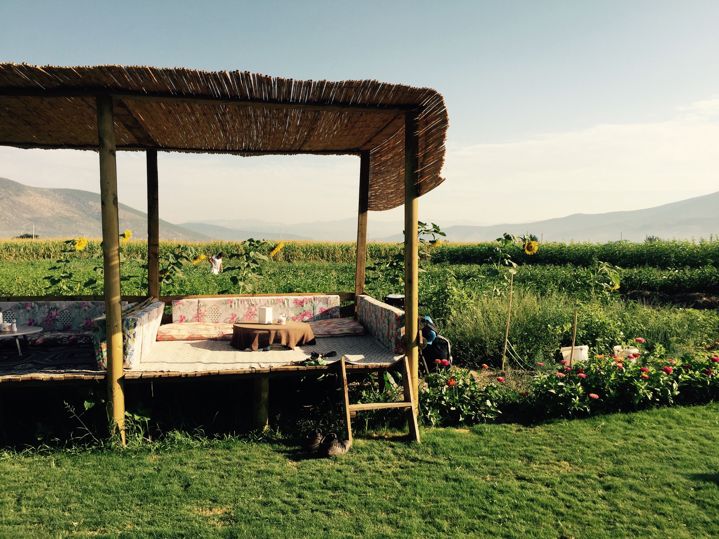 Sleeping space by fruit stall, Turkey