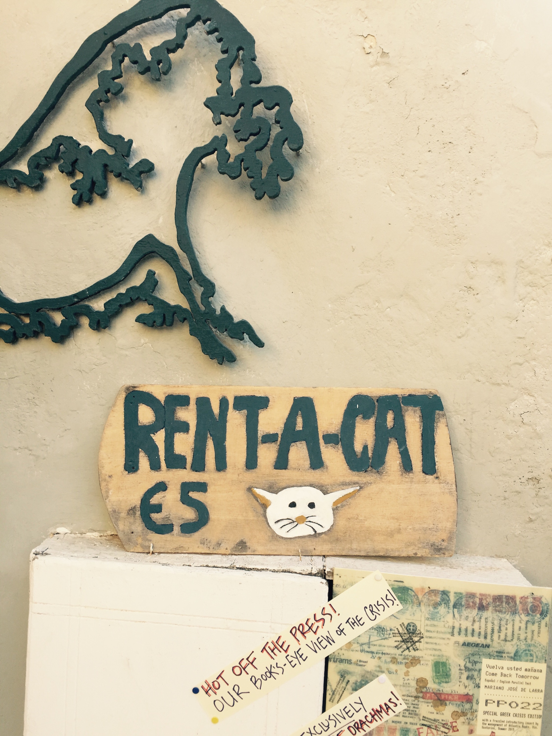 Rent a cat, Santorini, Thira, Greece