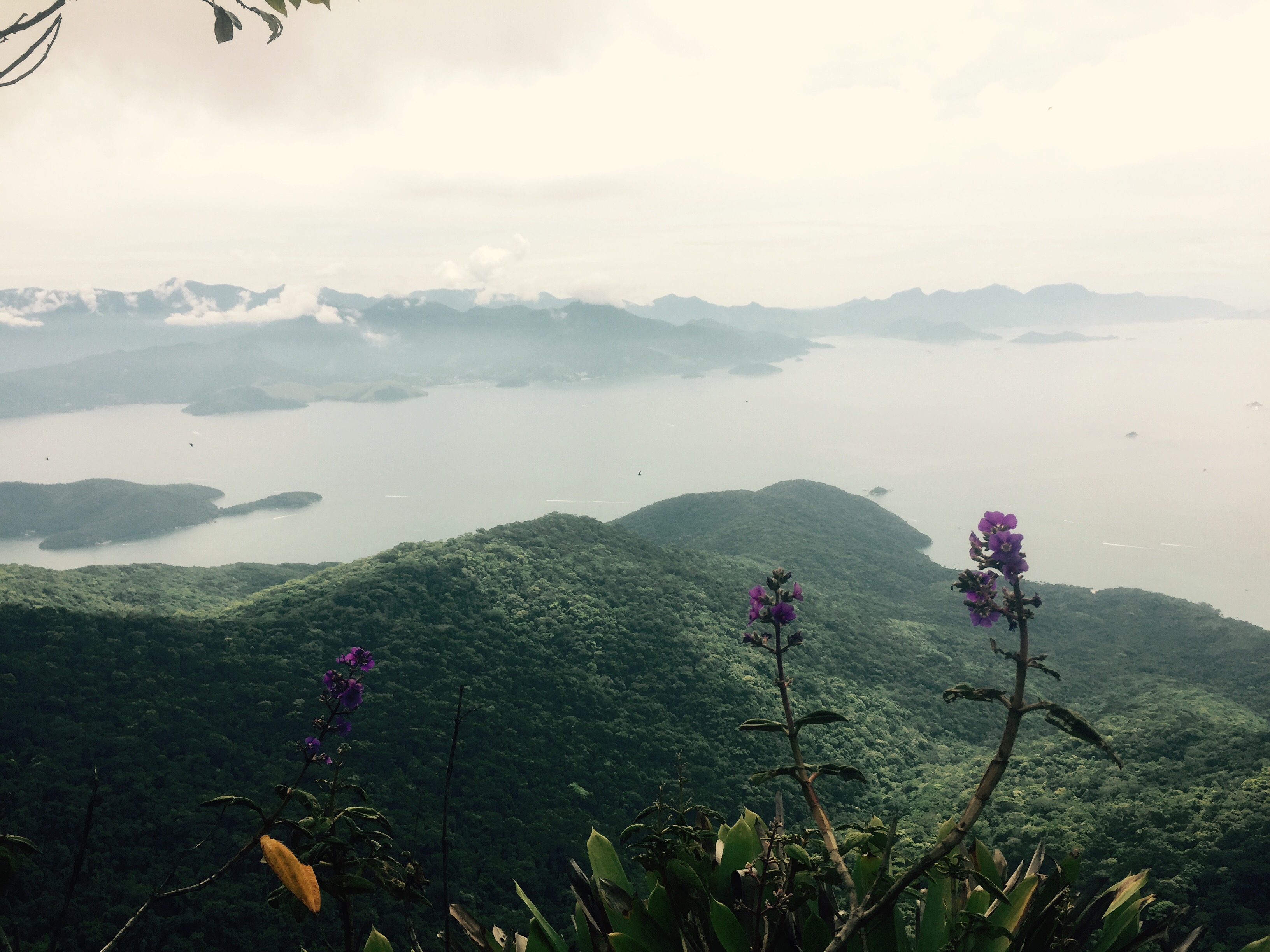 Pico do Papagaio, Ilha Grande, Brazil