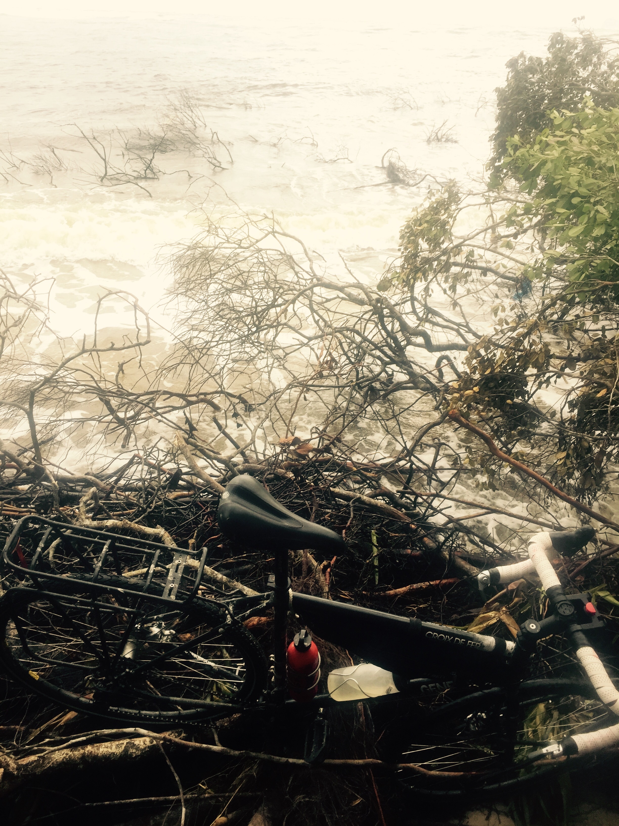 Fallen trees and bike on Ararapira beach, Brazil