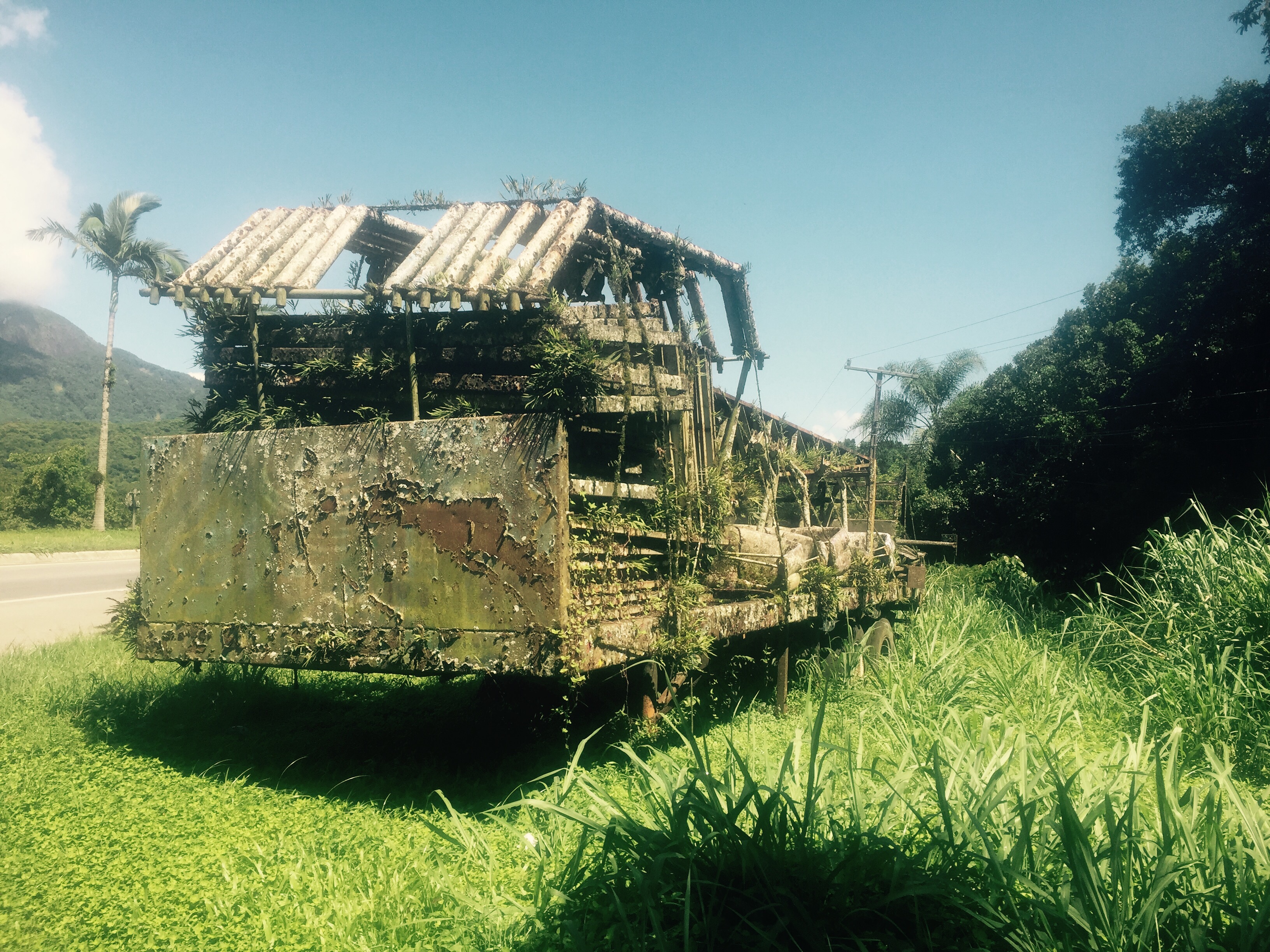 Nature reclaiming truck, BR-277, Paranagua to Curitiba, Brazil