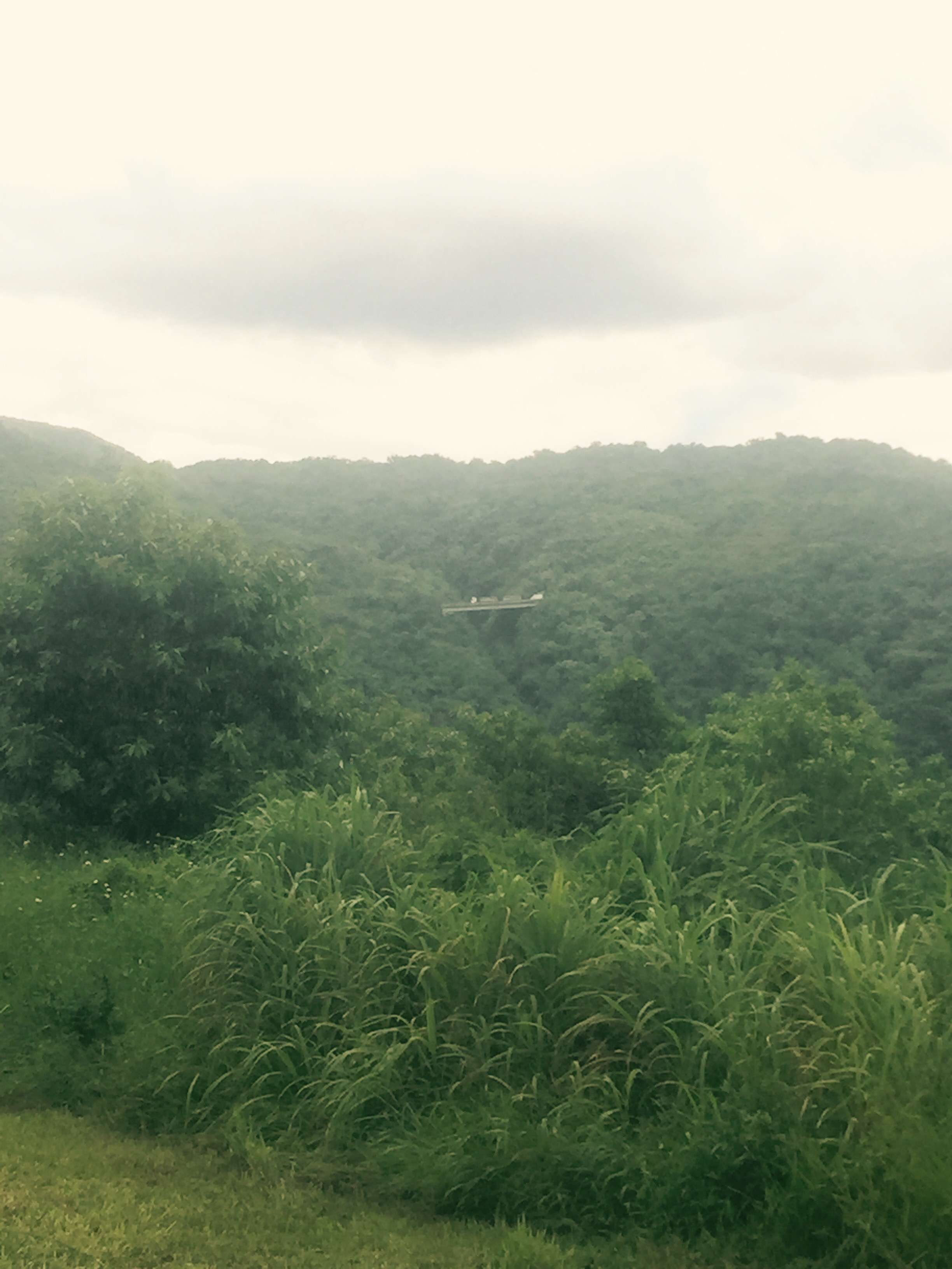 The long climb on the BR-277, Paranagua to Curitiba, Brazil