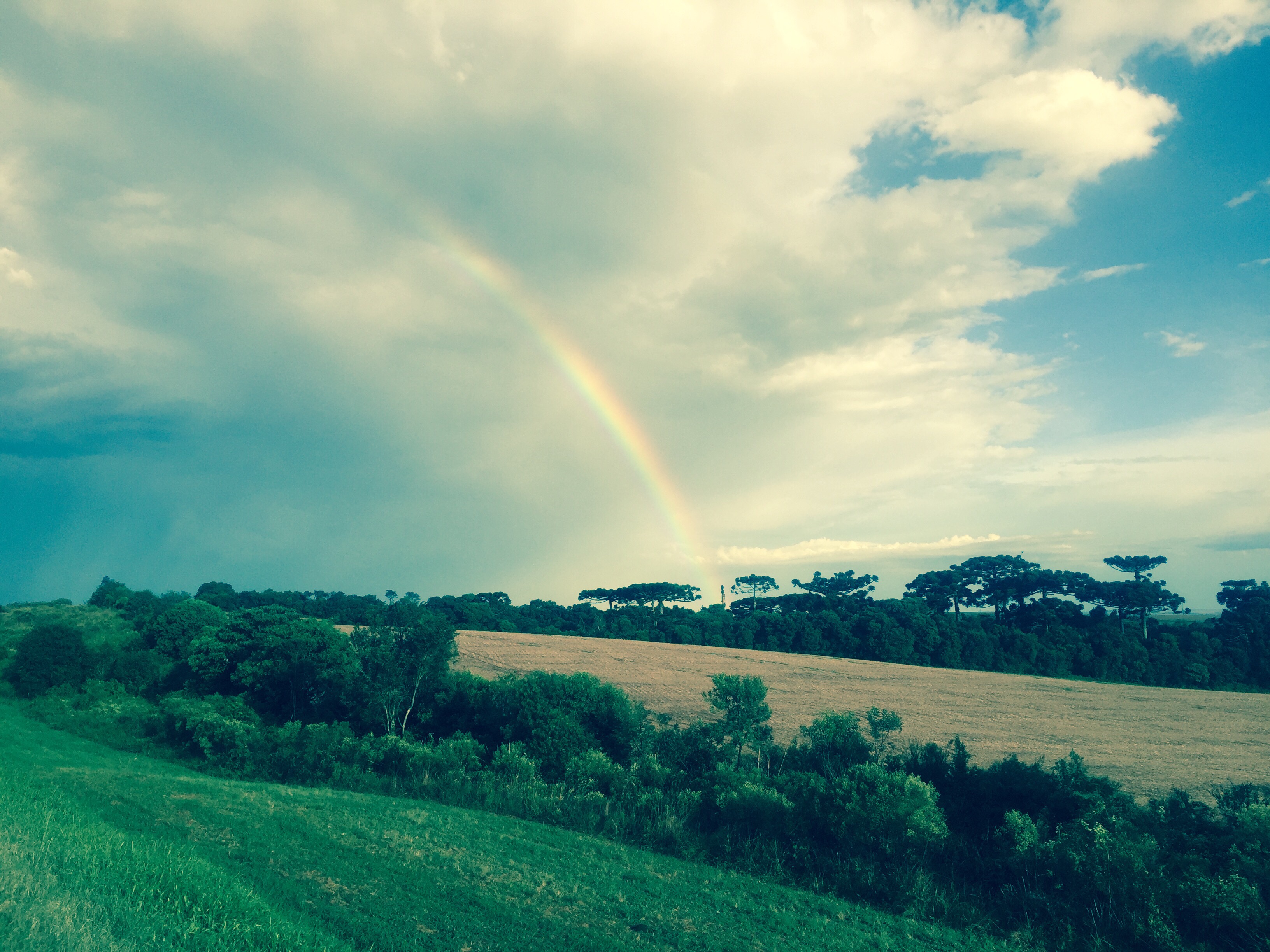 Rinbow, Paraná, Brazil