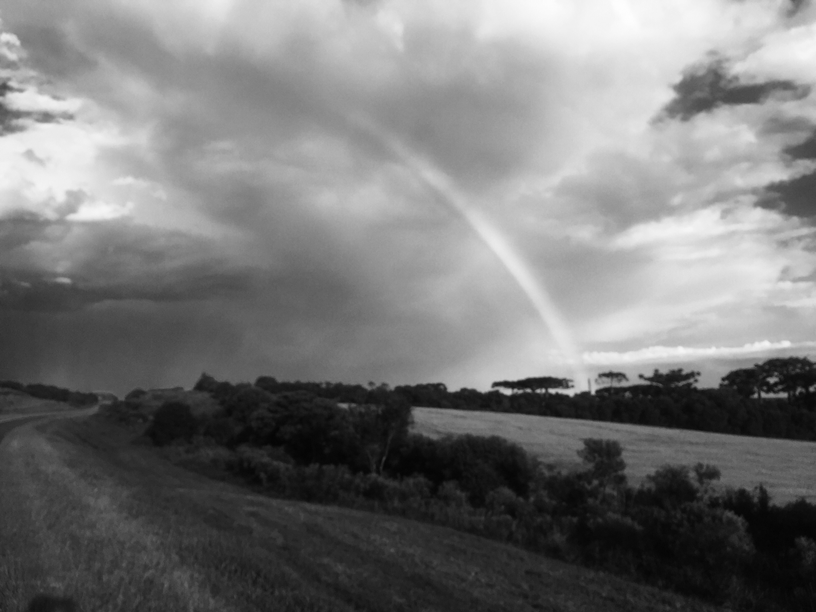 Fields of Paraná, Brazil